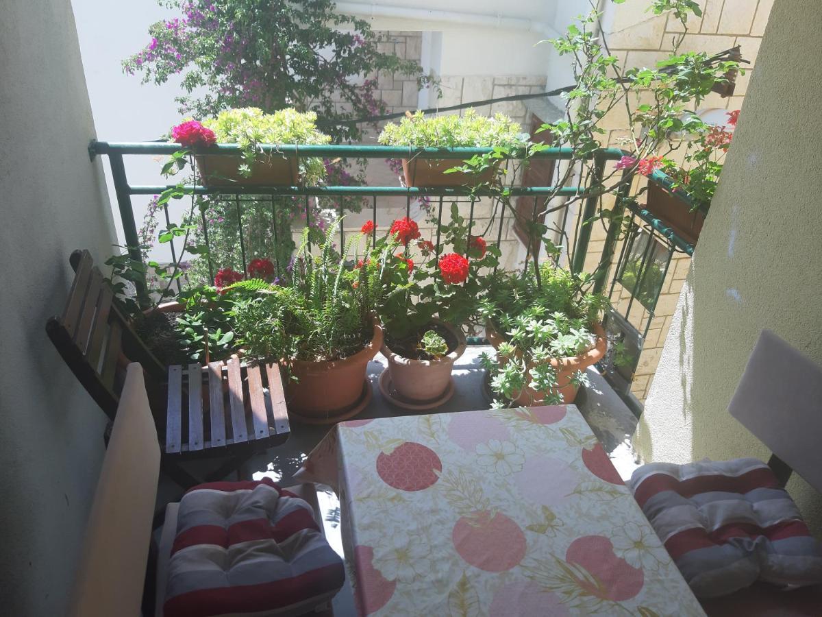 איגריין Apartments Knezic מראה חיצוני תמונה